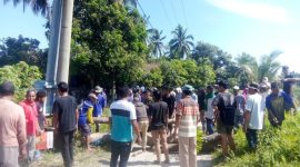 Warga Sampaga palang jalan pakai batang kelapa.(F/Net)