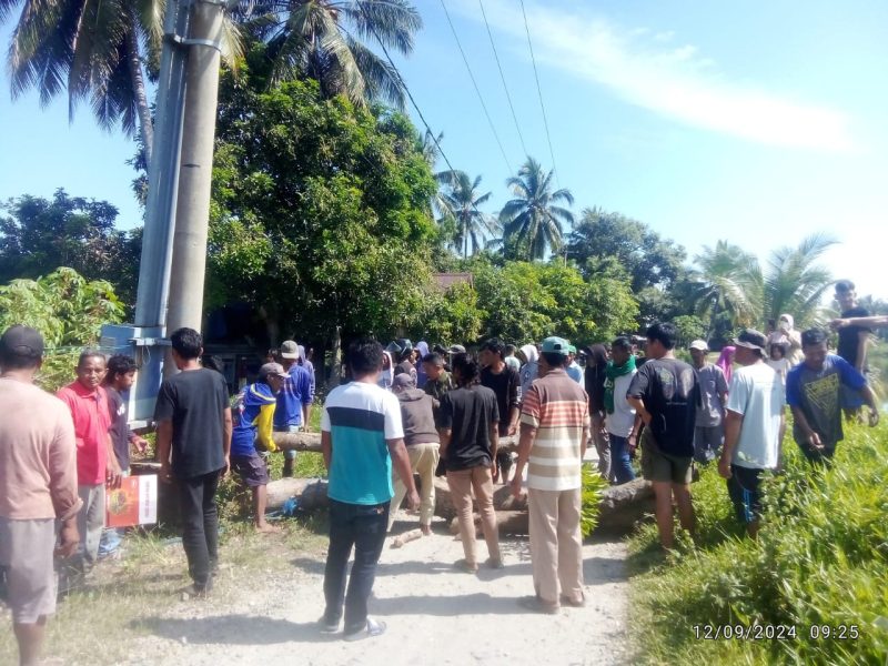 Warga Sampaga palang jalan pakai batang kelapa.(F/Net)