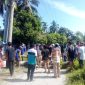 Warga Sampaga palang jalan pakai batang kelapa.(F/Net)